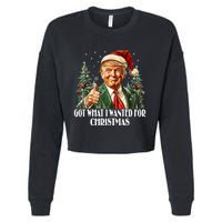 Got What I Wanted For Christmas Trump Xmas Pajamas 2024 Cropped Pullover Crew