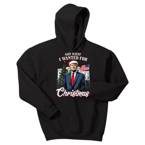 Got What I Wanted For Christmas Trump 2024 Kids Hoodie