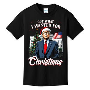 Got What I Wanted For Christmas Trump 2024 Kids T-Shirt