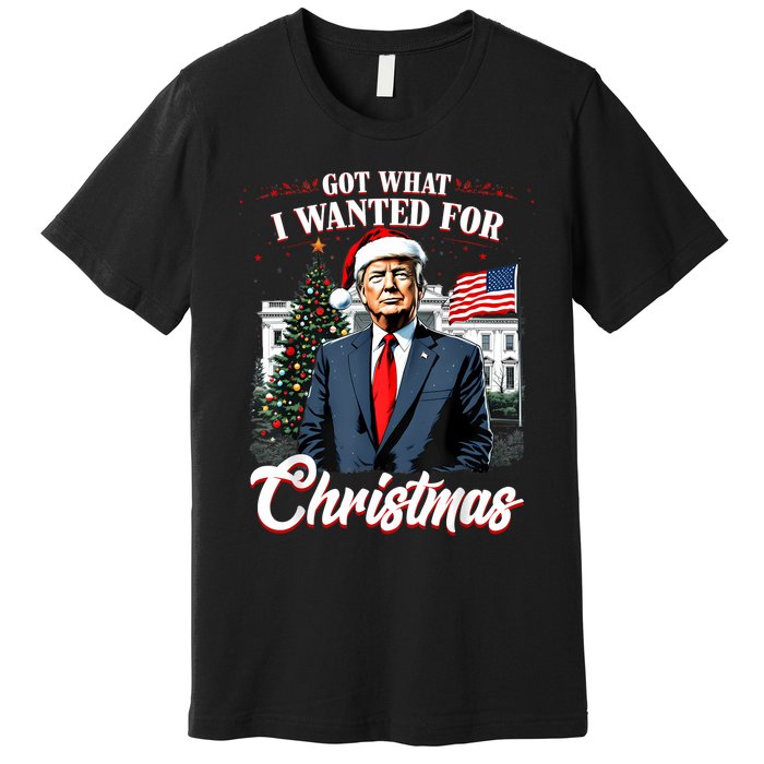 Got What I Wanted For Christmas Trump 2024 Premium T-Shirt