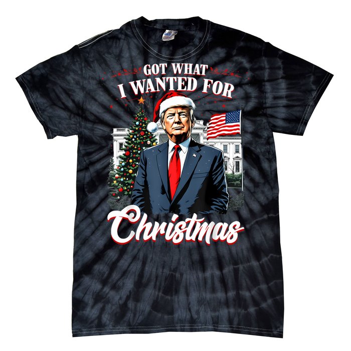 Got What I Wanted For Christmas Trump 2024 Tie-Dye T-Shirt