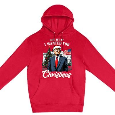 Got What I Wanted For Christmas Trump 2024 Premium Pullover Hoodie