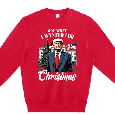 Got What I Wanted For Christmas Trump 2024 Premium Crewneck Sweatshirt