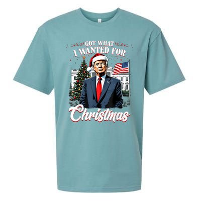 Got What I Wanted For Christmas Trump 2024 Sueded Cloud Jersey T-Shirt