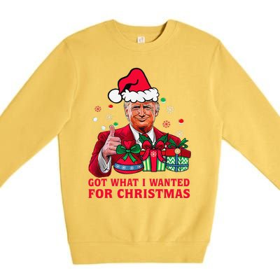 Got What I Wanted For Christmas Trump 2024 Won President Premium Crewneck Sweatshirt