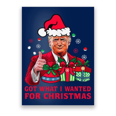 Got What I Wanted For Christmas Trump 2024 Won President Poster