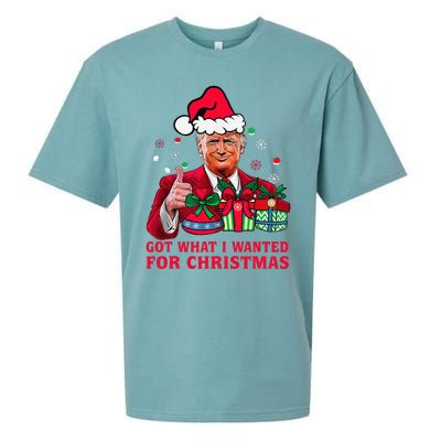 Got What I Wanted For Christmas Trump 2024 Won President Sueded Cloud Jersey T-Shirt