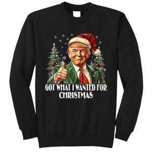 Got What I Wanted For Christmas Trump Xmas Pajamas 2024 Sweatshirt