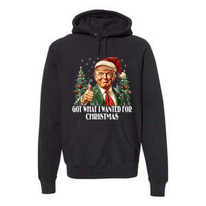 Got What I Wanted For Christmas Trump Xmas Pajamas 2024 Premium Hoodie