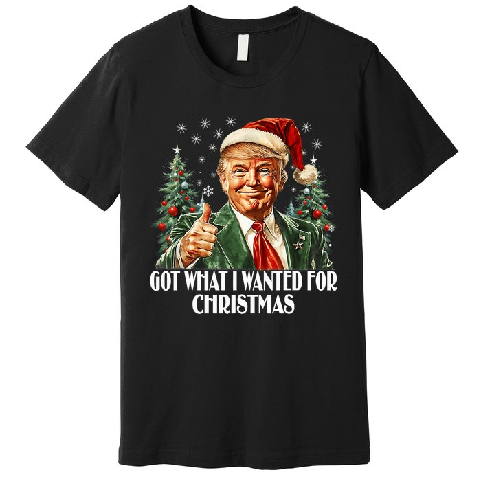 Got What I Wanted For Christmas Trump Xmas Pajamas 2024 Premium T-Shirt