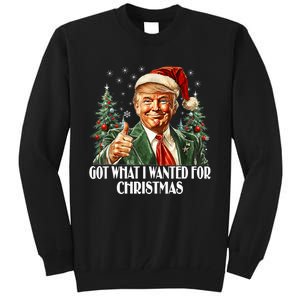 Got What I Wanted For Christmas Trump Xmas Pajamas 2024 Tall Sweatshirt