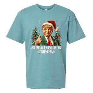 Got What I Wanted For Christmas Trump Xmas Pajamas 2024 Sueded Cloud Jersey T-Shirt