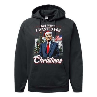 Got What I Wanted For Christmas Trump 2024 Performance Fleece Hoodie