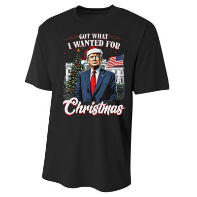 Got What I Wanted For Christmas Trump 2024 Performance Sprint T-Shirt