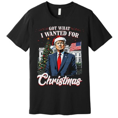 Got What I Wanted For Christmas Trump 2024 Premium T-Shirt