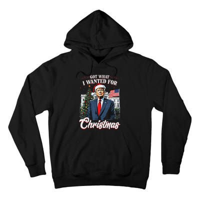 Got What I Wanted For Christmas Trump 2024 Tall Hoodie