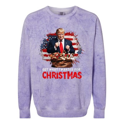 Got What I Wanted For Christmas Trump Won Present Xmas Colorblast Crewneck Sweatshirt