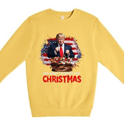 Got What I Wanted For Christmas Trump Won Present Xmas Premium Crewneck Sweatshirt