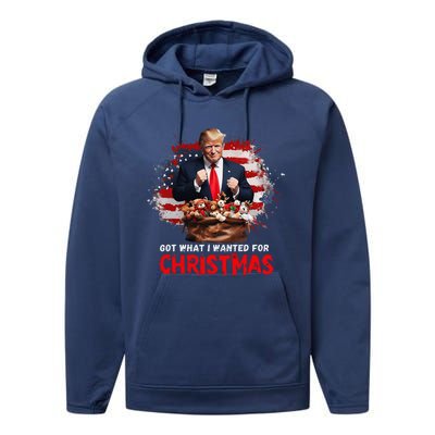 Got What I Wanted For Christmas Trump Won Present Xmas Performance Fleece Hoodie