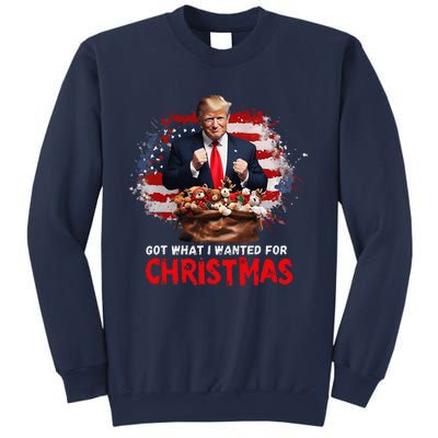 Got What I Wanted For Christmas Trump Won Present Xmas Sweatshirt