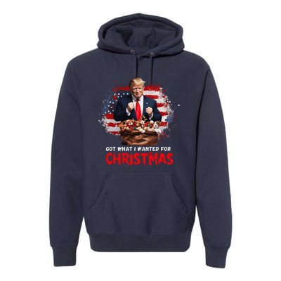 Got What I Wanted For Christmas Trump Won Present Xmas Premium Hoodie