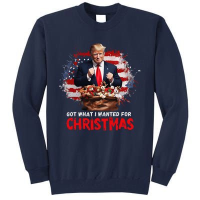 Got What I Wanted For Christmas Trump Won Present Xmas Tall Sweatshirt