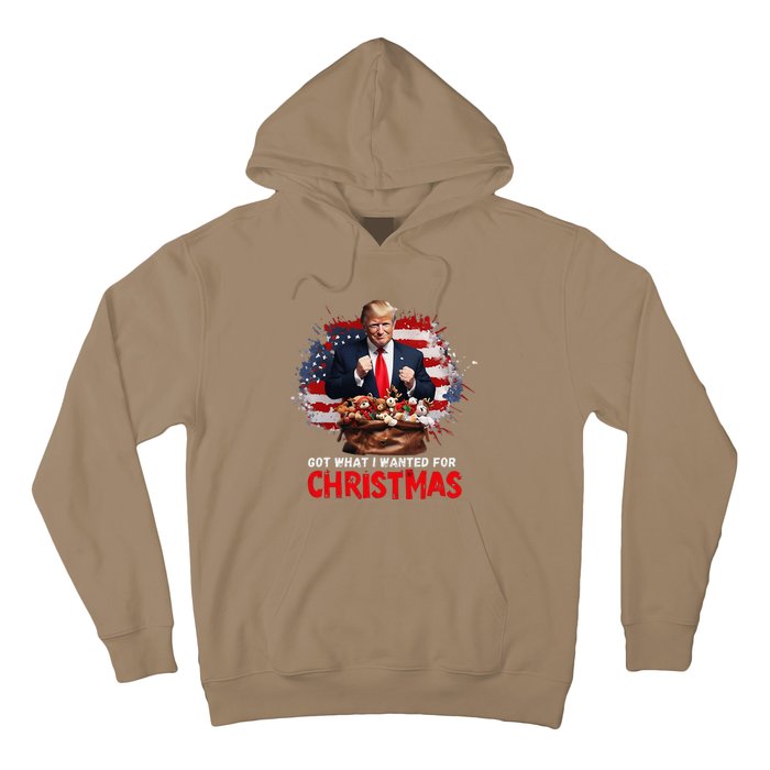 Got What I Wanted For Christmas Trump Won Present Xmas Hoodie