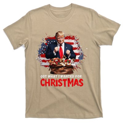 Got What I Wanted For Christmas Trump Won Present Xmas T-Shirt