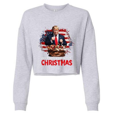 Got What I Wanted For Christmas Trump Won Present Xmas Cropped Pullover Crew