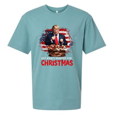 Got What I Wanted For Christmas Trump Won Present Xmas Sueded Cloud Jersey T-Shirt