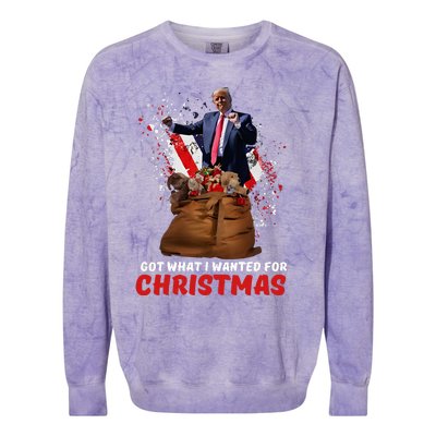 Got What I Wanted For Christmas Trump Won 2024 President Colorblast Crewneck Sweatshirt