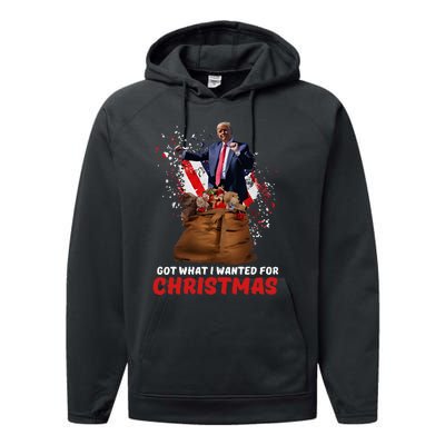 Got What I Wanted For Christmas Trump Won 2024 President Performance Fleece Hoodie