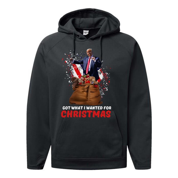 Got What I Wanted For Christmas Trump Won 2024 President Performance Fleece Hoodie