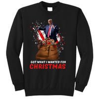 Got What I Wanted For Christmas Trump Won 2024 President Sweatshirt