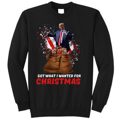 Got What I Wanted For Christmas Trump Won 2024 President Sweatshirt