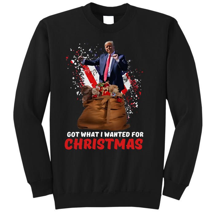 Got What I Wanted For Christmas Trump Won 2024 President Sweatshirt