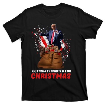 Got What I Wanted For Christmas Trump Won 2024 President T-Shirt