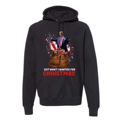 Got What I Wanted For Christmas Trump Won 2024 President Premium Hoodie