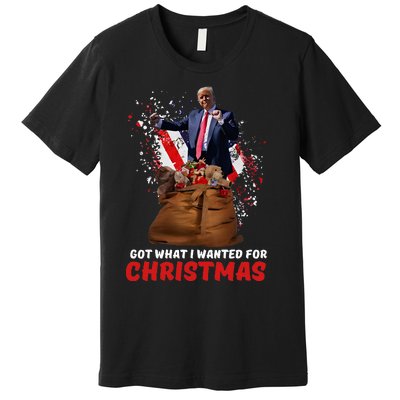 Got What I Wanted For Christmas Trump Won 2024 President Premium T-Shirt