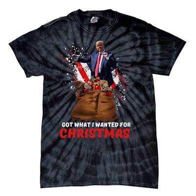 Got What I Wanted For Christmas Trump Won 2024 President Tie-Dye T-Shirt