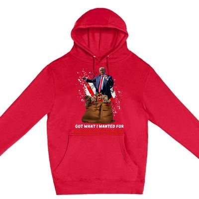 Got What I Wanted For Christmas Trump Won 2024 President Premium Pullover Hoodie