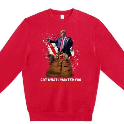 Got What I Wanted For Christmas Trump Won 2024 President Premium Crewneck Sweatshirt