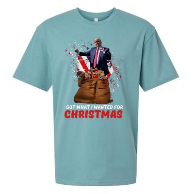 Got What I Wanted For Christmas Trump Won 2024 President Sueded Cloud Jersey T-Shirt