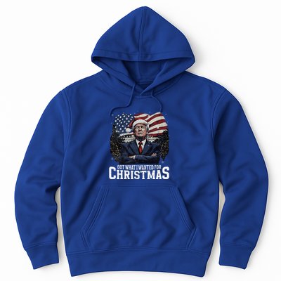 Got What I Wanted For Christmas Trump Won 2024 Hoodie