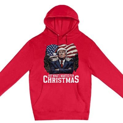 Got What I Wanted For Christmas Trump Won 2024 Premium Pullover Hoodie