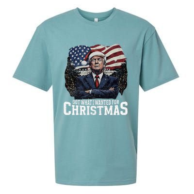 Got What I Wanted For Christmas Trump Won 2024 Sueded Cloud Jersey T-Shirt