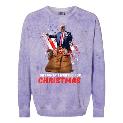 Got What I Wanted For Christmas Trump Won 2024 President Colorblast Crewneck Sweatshirt