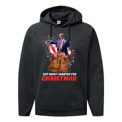 Got What I Wanted For Christmas Trump Won 2024 President Performance Fleece Hoodie