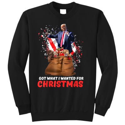 Got What I Wanted For Christmas Trump Won 2024 President Sweatshirt