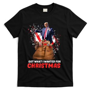 Got What I Wanted For Christmas Trump Won 2024 President T-Shirt